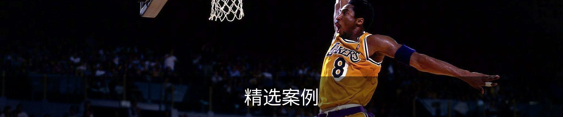 精选案例